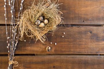 Quail eggs in a nest on an antique brown tablecloth. High quality photo