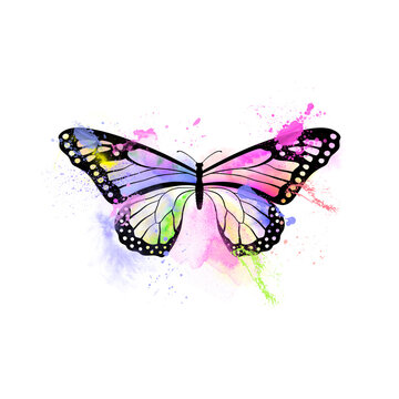Contour butterfly painted with bright paint, watercolors and splashes.