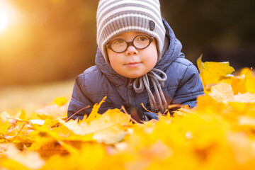Cute little boy in round glasses in autumn leaves. Creamy bokeh, Soft light spot