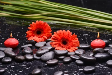 Gordijnen Still life of with red flower ,candle and zen black stones ,green palm wet background © Mee Ting