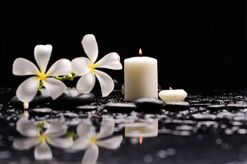 Still life of with Plumeria, frangipani with  candle with zen black stones on wet background