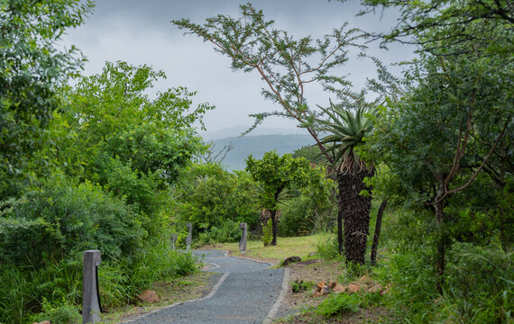 Naturreservat 이미지 찾아보기 8,121 스톡 사진, 벡터 및 비디오 Adobe Stock