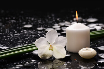 Still life of with 
white orchid and long green stem with candle  zen black stones on wet background
