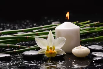 Foto op Plexiglas Still life of with  White orchid  ,bamboo stem with bamboo grove  and zen black stones on wet background,  © Mee Ting