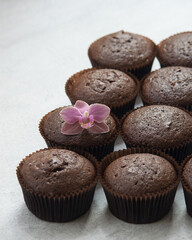 Chocolate brownies cacao muffins on grey background, baking concept. Selective focus