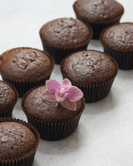 Chocolate brownies cacao muffins on grey background, baking concept. Selective focus