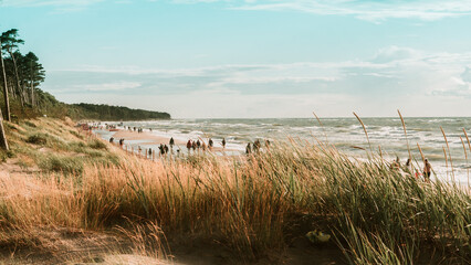 Baltic sea dunes