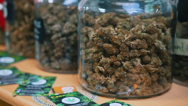 Medical cannabis concept. Big transparent jars full of dry and trimmed cannabis buds. CBG CBD weed storage. High quality 4k footage