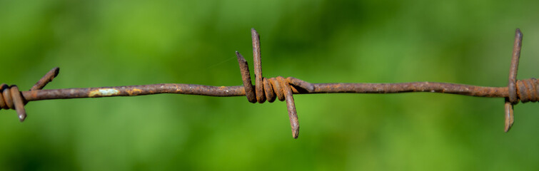 Banner of old rusty barbed wire on a blurred background of nature. Barbed Wire Bokeh.