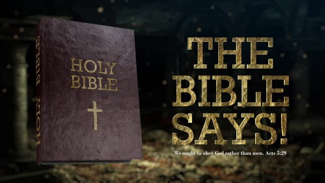 The Bible Says. 3d Visualization of the Bible. Can Be Used For Intro, Outro or Video Transitions.