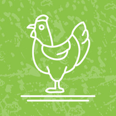 Poultry Icon