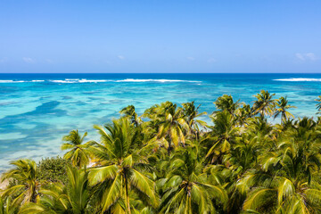 Bounty and pristine tropical shore with coconut palm trees and turquoise caribbean sea. Beautiful landscape. Aerial view