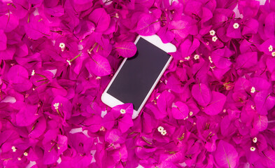 Mobile phone on  pink flowers  background.