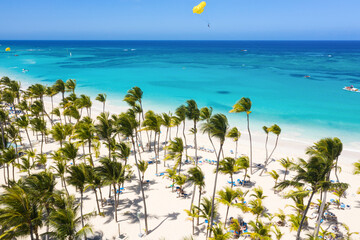 Bounty and pristine sandy shore with coconut palm trees, caribbean sea washes tropical coast. Arenda Gorda beach. Dominican Republic. Aerial view - obrazy, fototapety, plakaty