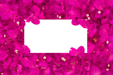 White card  on  pink flowers background. concept. Top view. Flat lay