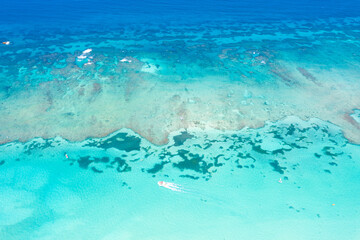 Fototapeta na wymiar Caribbean sea with reef and azure water, tropical nature. Aerial top view