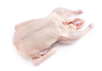 Raw and uncooked whole duck isolated on white background