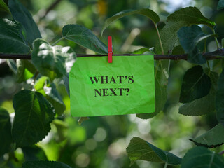 A paper note with the question What is Next on it attached to a tree with a clothes pin