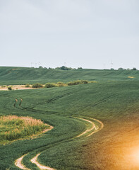 Green landscape of a rural area. Countryside agriculture view.