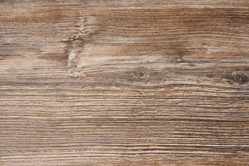 wooden background. gray texture tree.
