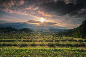 sunset in the mountains