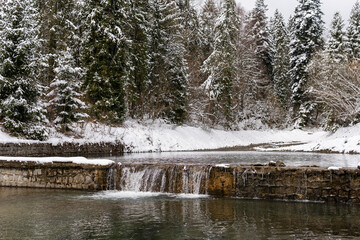 Beautiful snowy forest, trees and leaves covered with snow, wild nature, little waterfall, river
