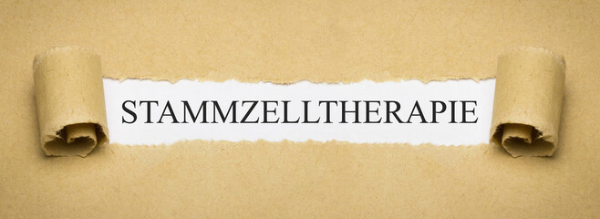 Stammzelltherapie