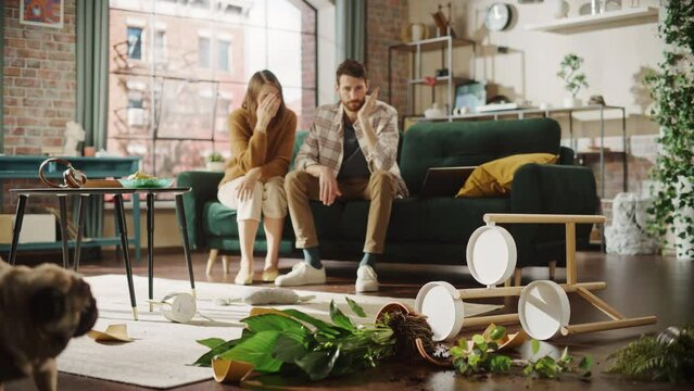Funny Moment: Pug Dog Runs Away After Ruining Potted Flower by Overturning it and Making Mess in the Whole Apartment. Couple Sitting on Couch with look of Disbelief, Frustration. Cute Silly Puppy