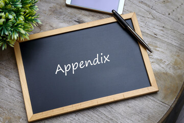 Appendix word is written on the black chalkboard