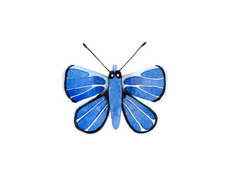 Watercolor Blue Butterfly top view illustration. Moth Isolated on white background. Watercolour insect.