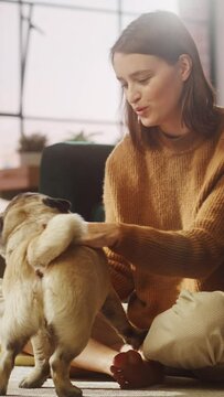 Vertical View Beautiful Young Woman Cuddles Her Adorable Little Pug at Home. Girl Plays with Her Dog, Gorgeous Pedegree Best Friend. She Pets and Scratches Super Happy Doggy, Have Fun. Slow Motion