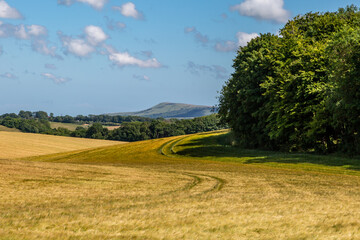 A rural South Downs view on a sunny day in June