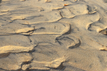 Wave-shaped sand is formed by the flow of river water