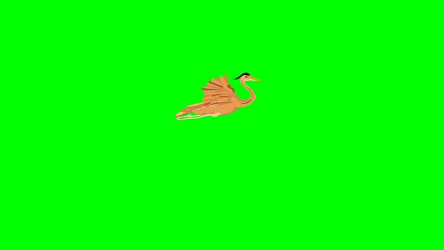 Animation of a flying heron on a green background
