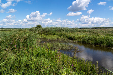 Piękne lato w Dolinie Narwi, Podlasie, Polska