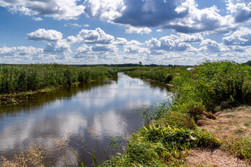 Piękne lato w Dolinie Narwi, Podlasie, Polska
