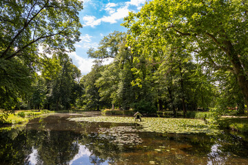 Teich im Park