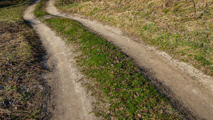 Rural dirt road in the meadow.