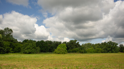 Rain clouds on the background of deciduous forest and meadow.