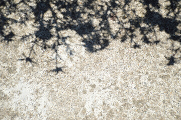 Flower shadows on a concrete background