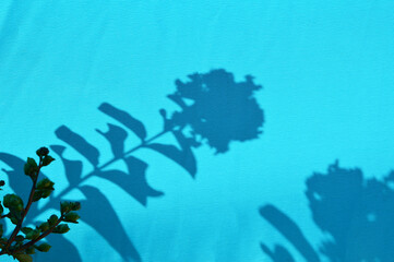 Fototapeta na wymiar Leaf shadows on a blue fabric background