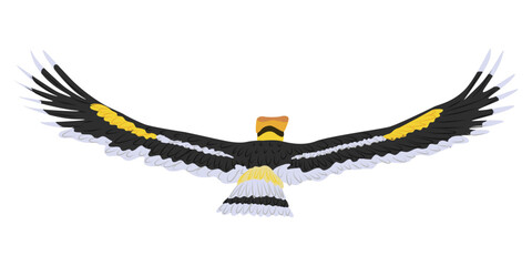 Great hornbill flying, rear view. Tropical bird great Indian hornbill. Realistic vector wild birds of India and Southeast Asia