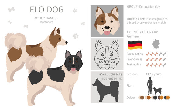 Elo dog clipart. Different coat colors set