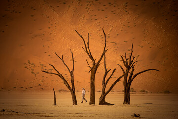 Deadvlei in Namib Desert in Namibia, Africa