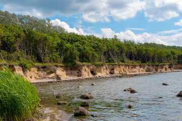 Obraz premium Steilküste mit Wald und Strand bei Timmendorf/Insel Poel auf der Insel Poel an der Ostsee