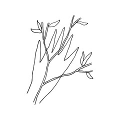Hand and twig with leaves. Hand drawn linear illustration. Black and white vector