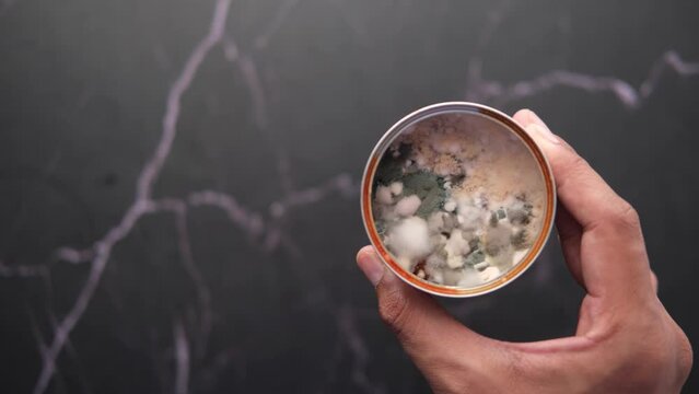  tin container food with mildew. Spoiled products