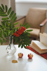 autumn still life with a rowan branch in a vase, book and apples in a cozy home interior