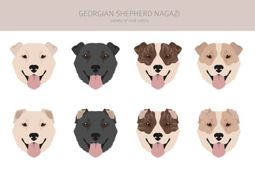 Obraz premium Georgian Shepherd Nagazi clipart. Different coat colors set