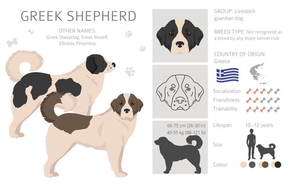 Greek mastiff cheap